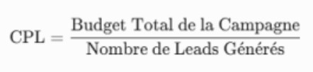 Cout par lead